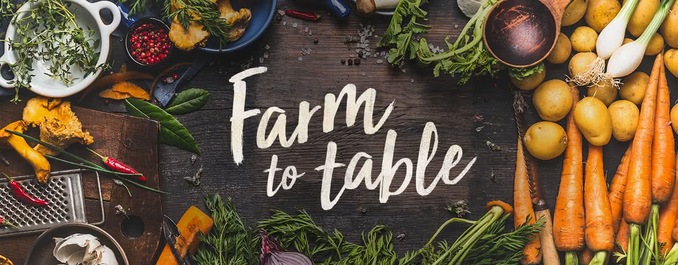 From Farm to Table: How Sinoclima Keeps fresh